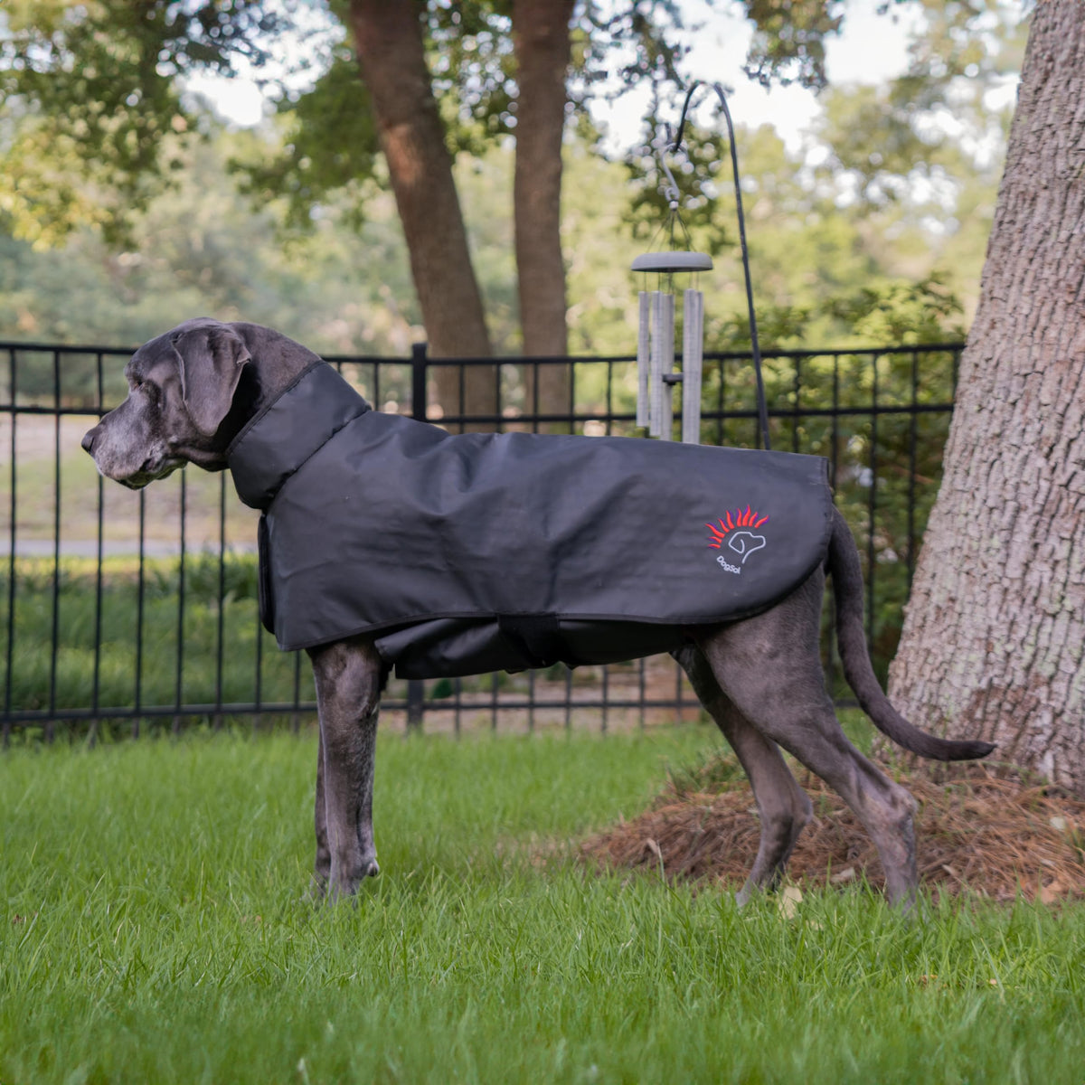 AnimaSol DogSol Red & Near Infrared Light Therapy Coat 6 Sizes (M)