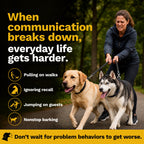 Educator EZ-902 E Collar for Dog Training with Remote - 1/2 Mile Range, Waterproof, 256 Blunt Stimulation Levels, Tone or Vibration Mode, Night Light for Small, Medium & Large Dogs (2 Dogs)