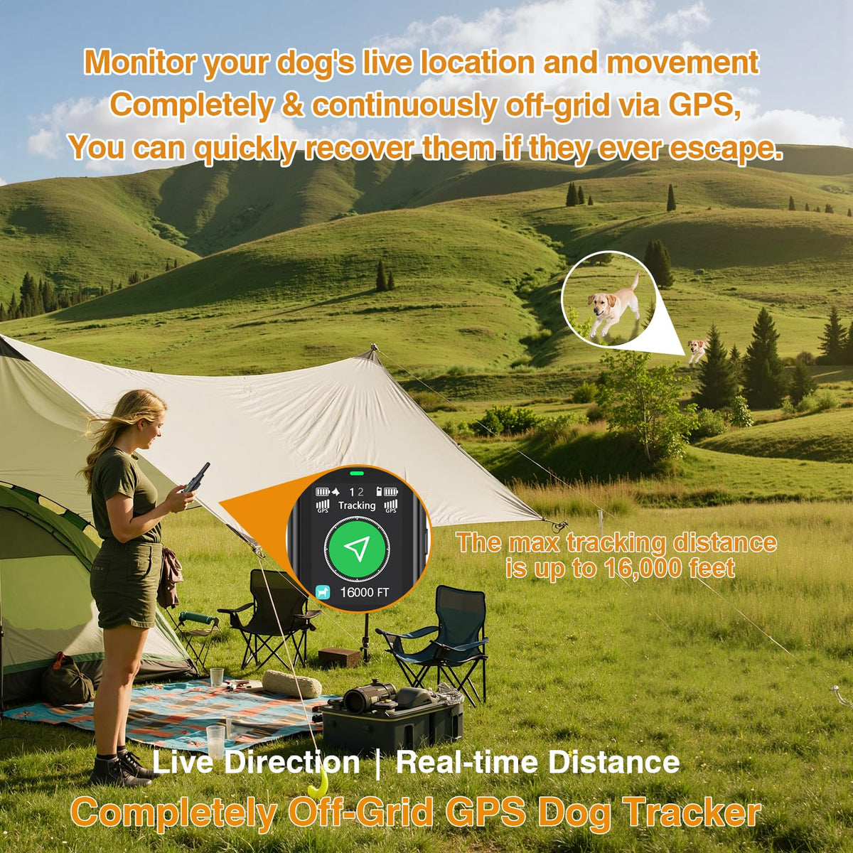 3-in-1 Wireless Dog Fence, Real-Time GPS Tracker & Training Collar