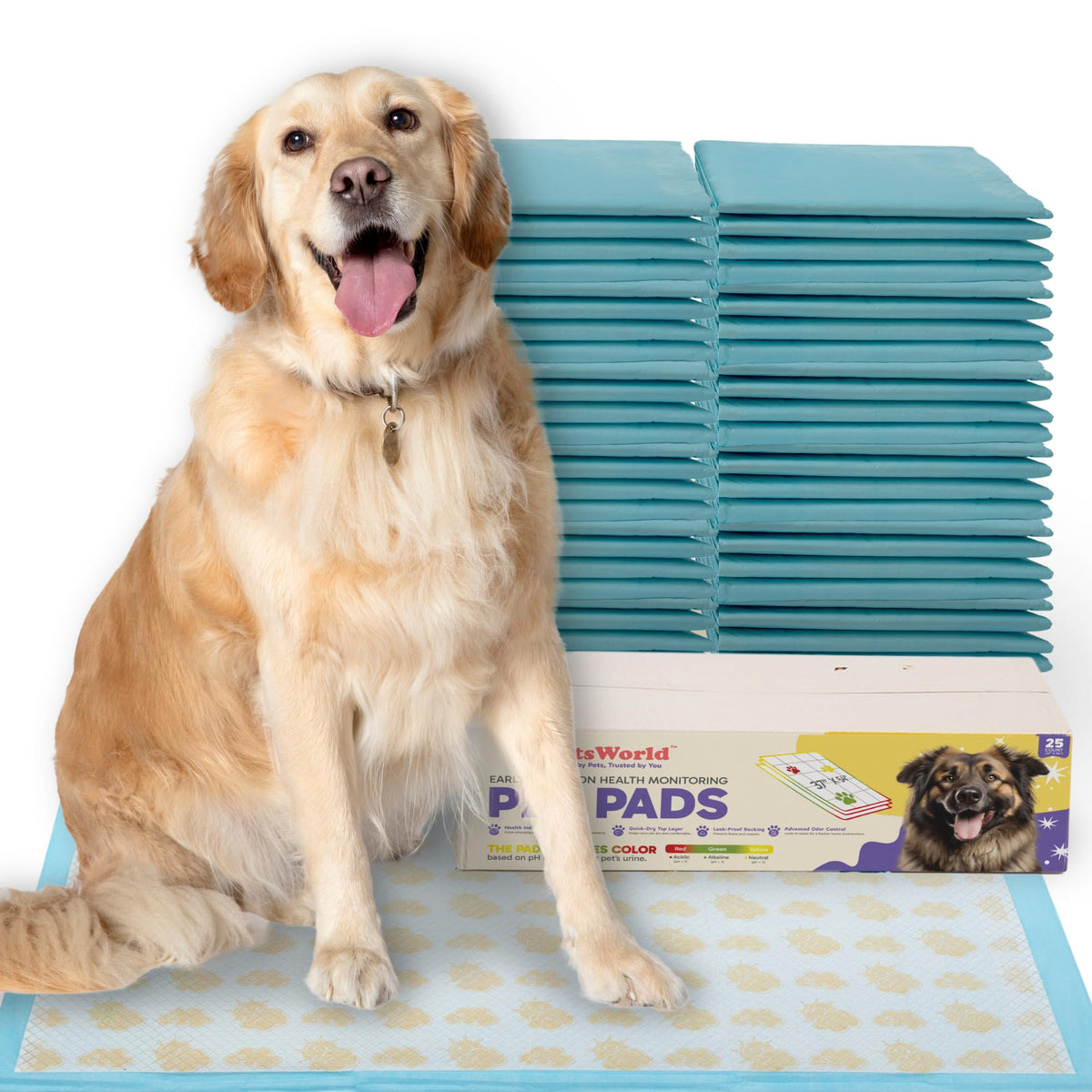 PetsWorld Pee Pads for Dogs 37x54 XXXL | Dog Training Pads 400 Count