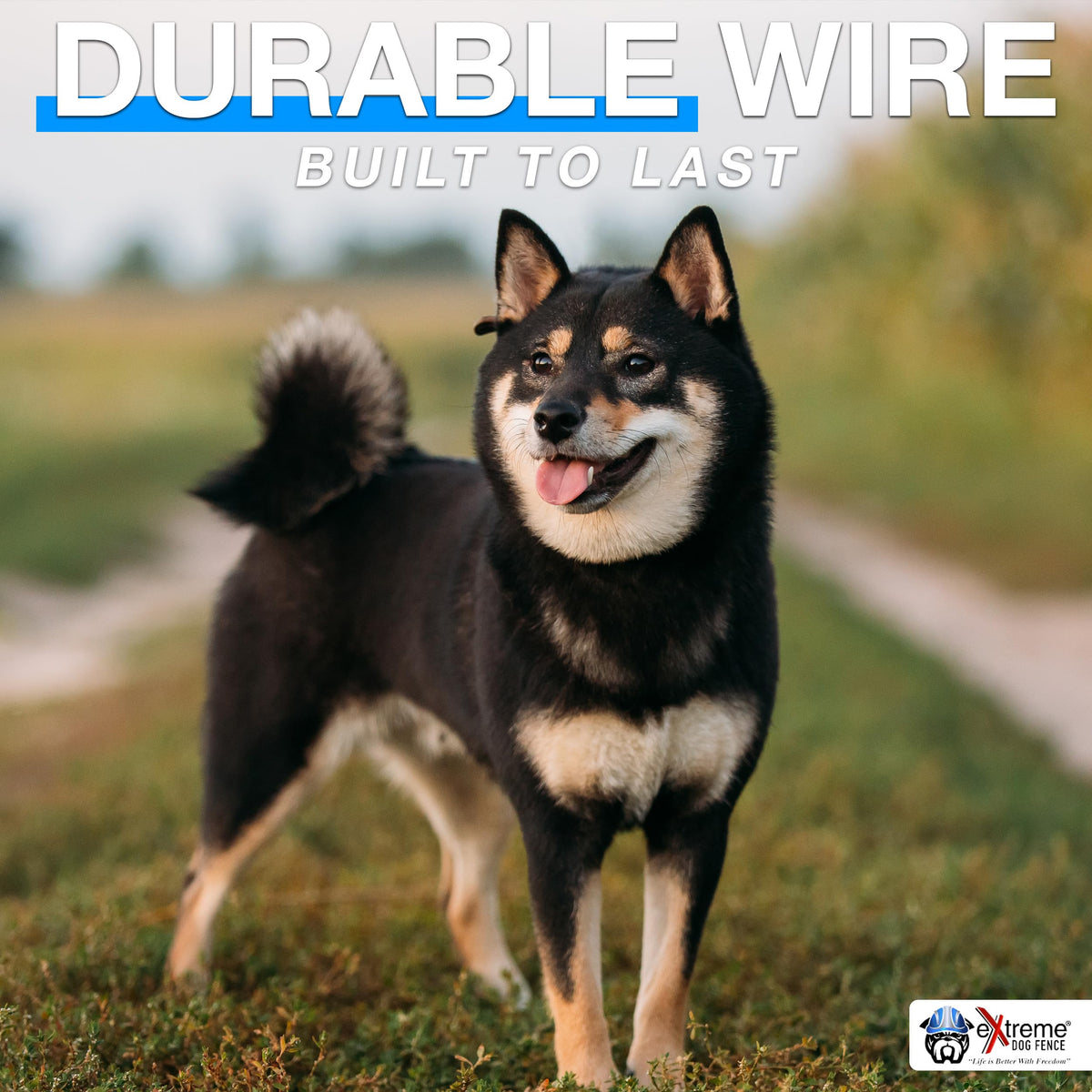 Underground Electric Dog Fence Kit, 2-Dog, 500 ft, DIY Install