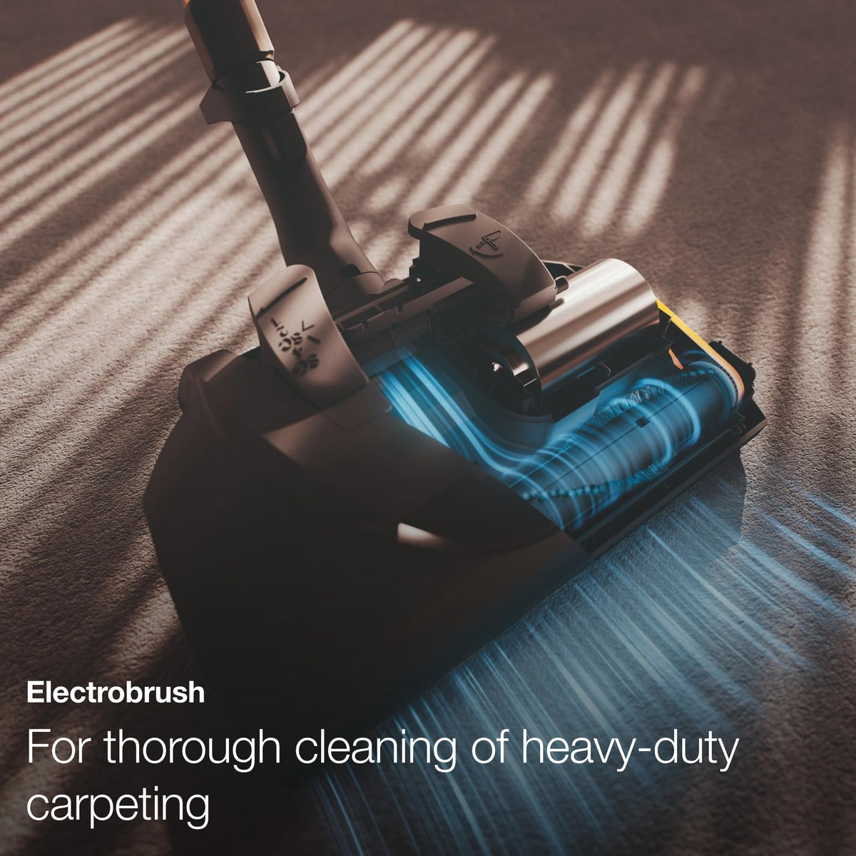 Miele Blizzard CX1 Cat & Dog Bagless Canister for Deep Carpet Cleaning