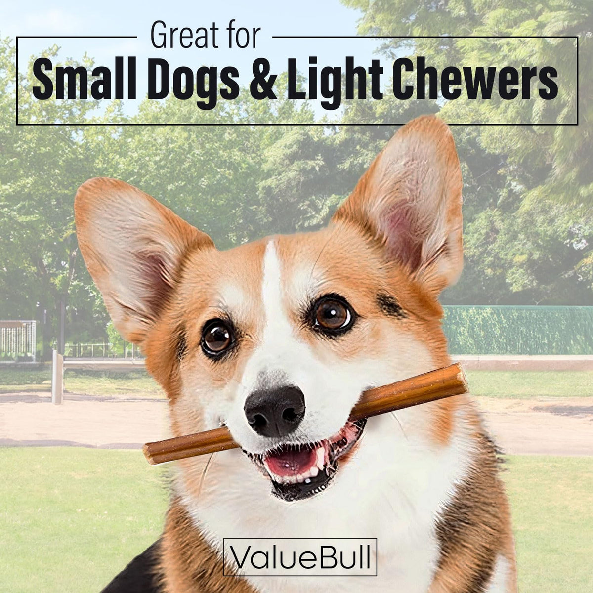 ValueBull Bully Sticks for Small Dogs, Thin 6 Inch, 400 Count