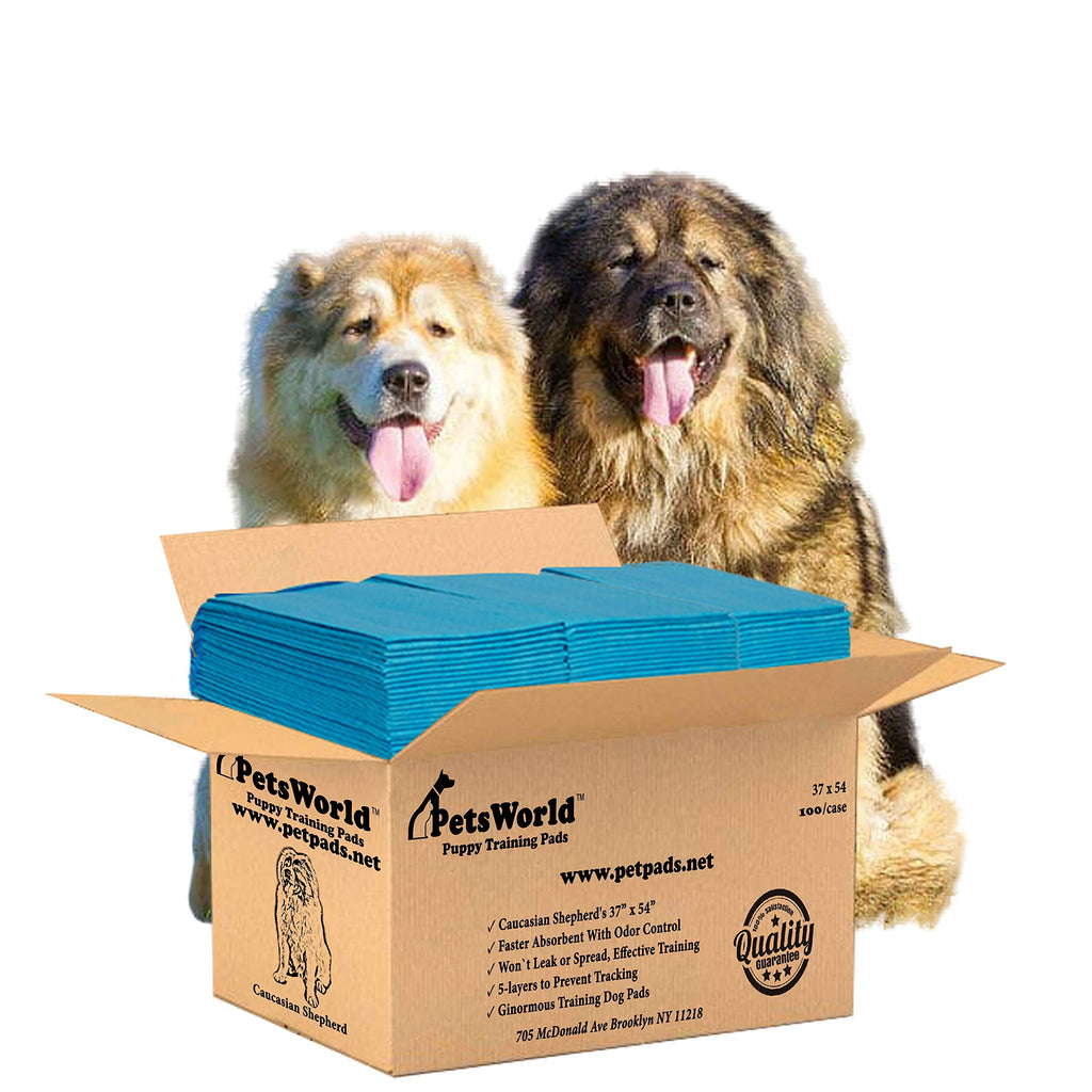 PetsWorld Pee Pads for Dogs 37x54 XXXL | Dog Training Pads 400 Count
