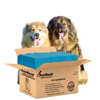 PetsWorld Pee Pads for Dogs 37x54 XXXL | Dog Training Pads 400 Count