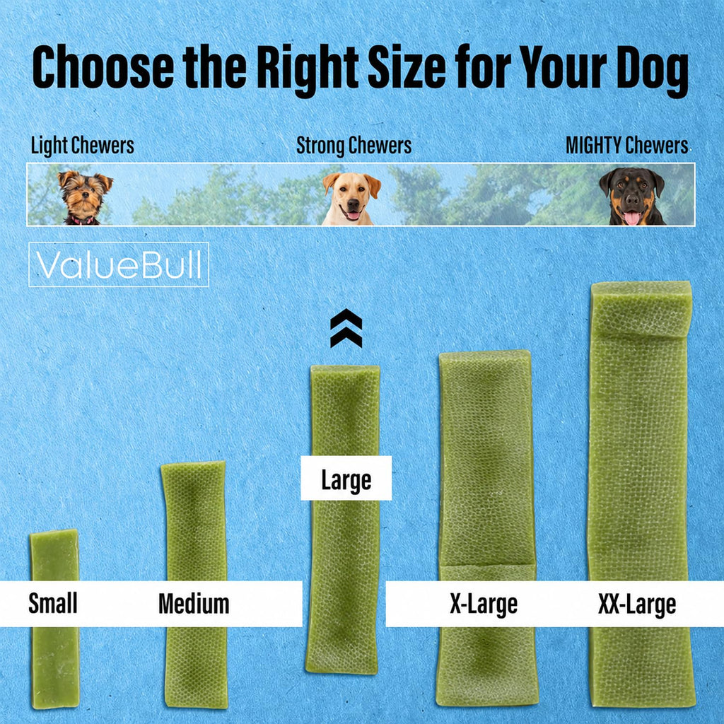 ValueBull Himalayan Yak Cheese Dog Chews, Mint, Large, 100 Count