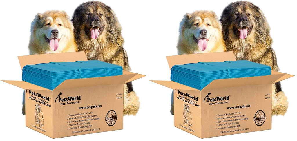 PetsWorld Pee Pads for Dogs 37x54 XXXL | Dog Training Pads 400 Count