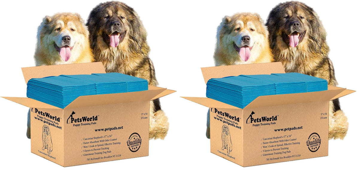 PetsWorld Pee Pads for Dogs 37x54 XXXL | Dog Training Pads 400 Count