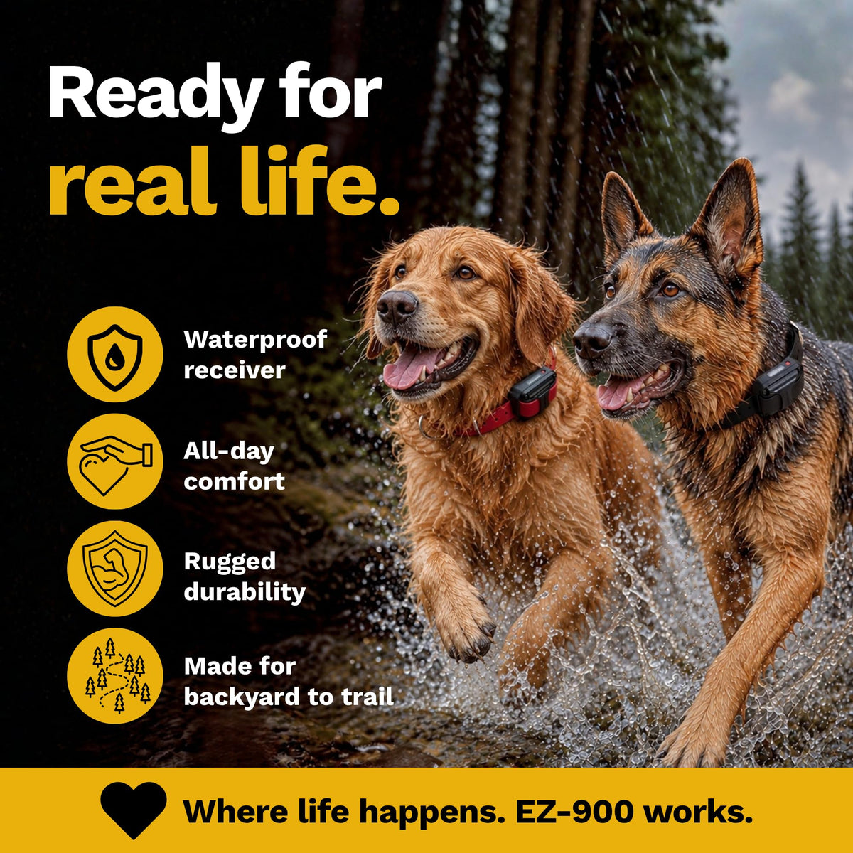 Educator EZ-902 E Collar for Dog Training with Remote - 1/2 Mile Range, Waterproof, 256 Blunt Stimulation Levels, Tone or Vibration Mode, Night Light for Small, Medium & Large Dogs (2 Dogs)