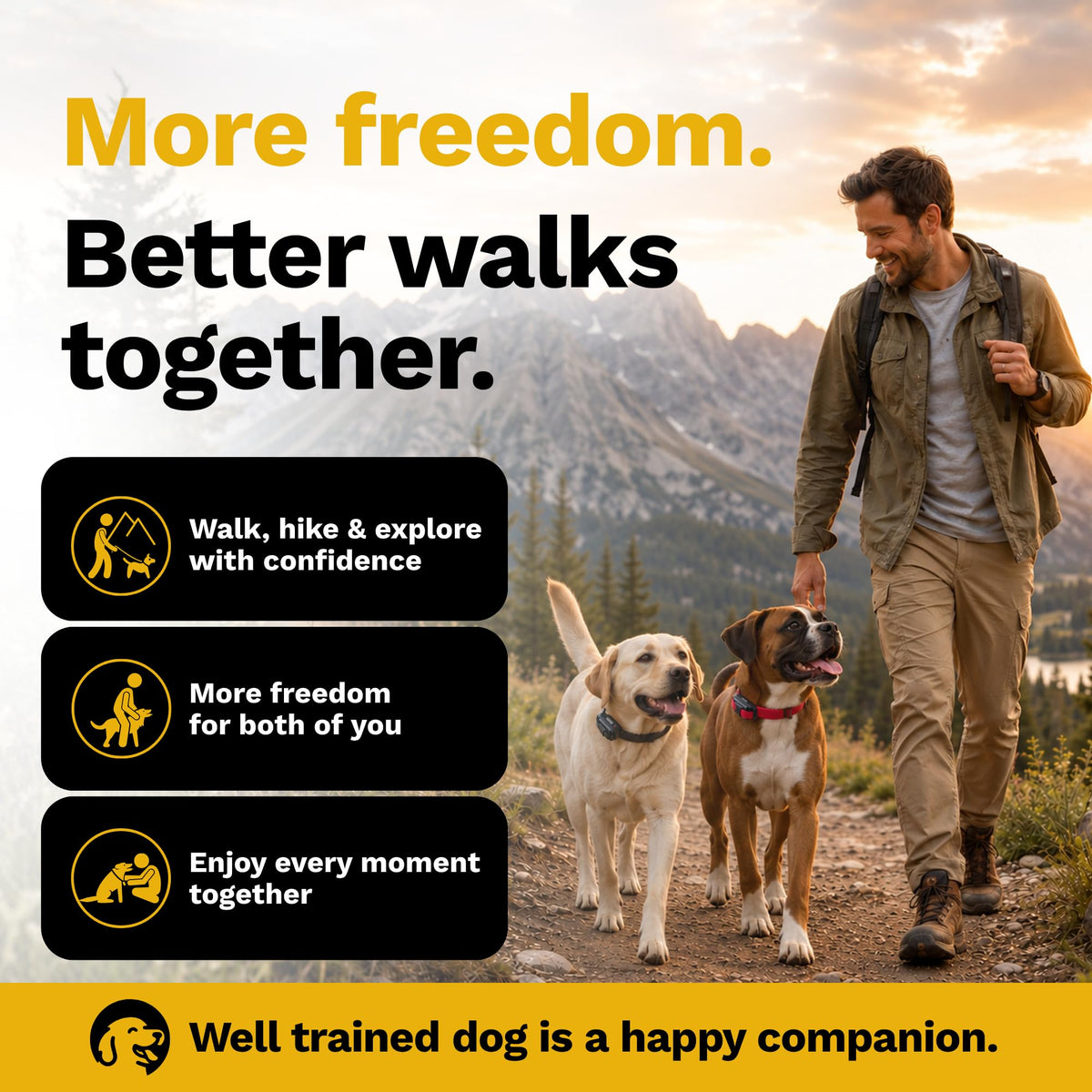 Educator EZ-902 E Collar for Dog Training with Remote - 1/2 Mile Range, Waterproof, 256 Blunt Stimulation Levels, Tone or Vibration Mode, Night Light for Small, Medium & Large Dogs (2 Dogs)