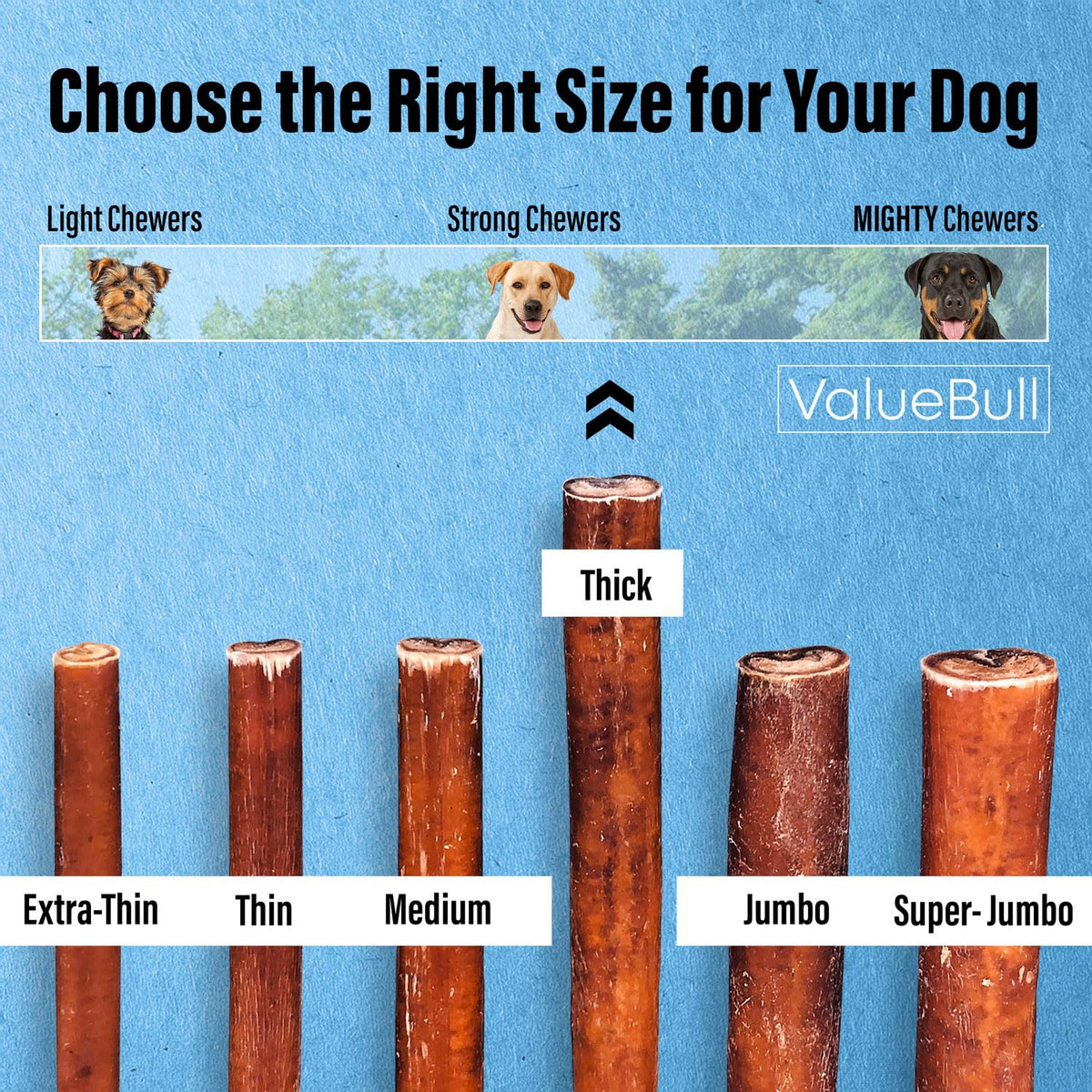 ValueBull Bully Sticks for Dogs, Thick 6 Inch, 100 Count Bulk Pack - All Natural, Grass Fed, Single Ingredient, Long Lasting Dog Treats