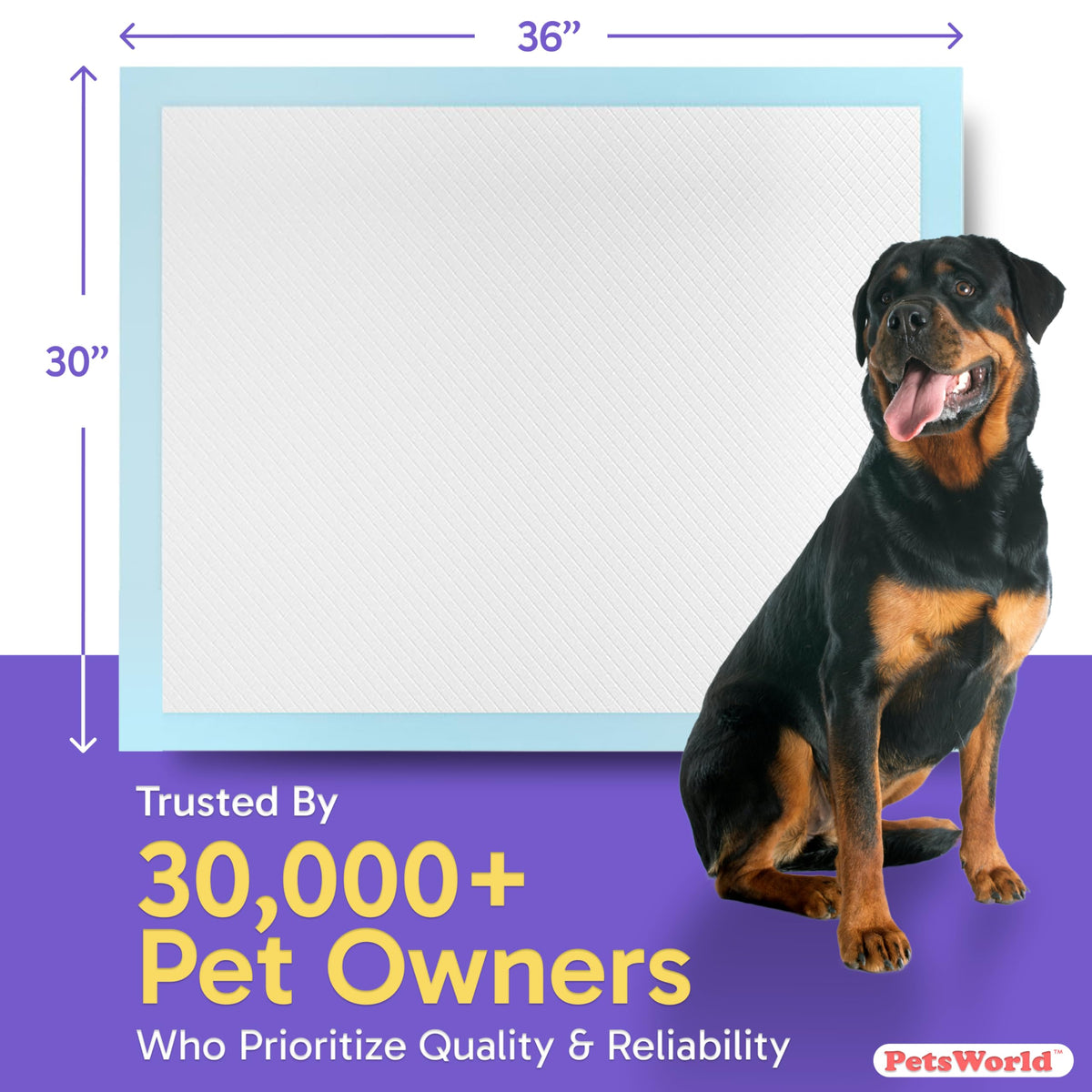 PetsWorld Pee Pads for Dogs 30x36 XL | Dog Training Pads 1500 Count