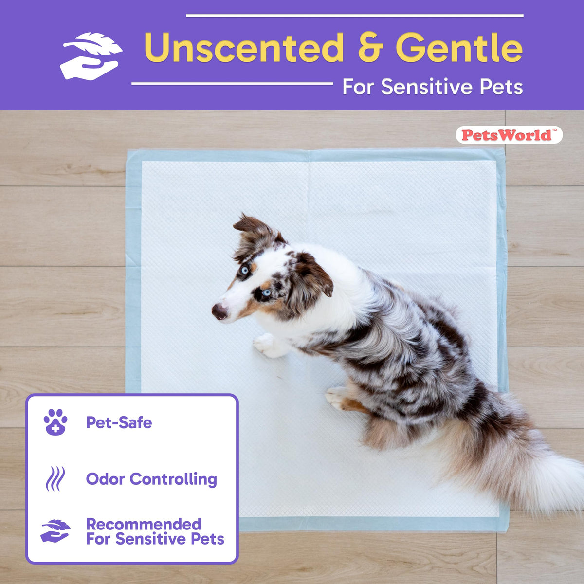 PETSWORLD Giant Dog Potty Pads, Odor-Eliminating, 36" x 36", Ultra Absorbent 5-Layer Leak-Proof Training Pads for Dogs & Cats (36x36, 600 Count)
