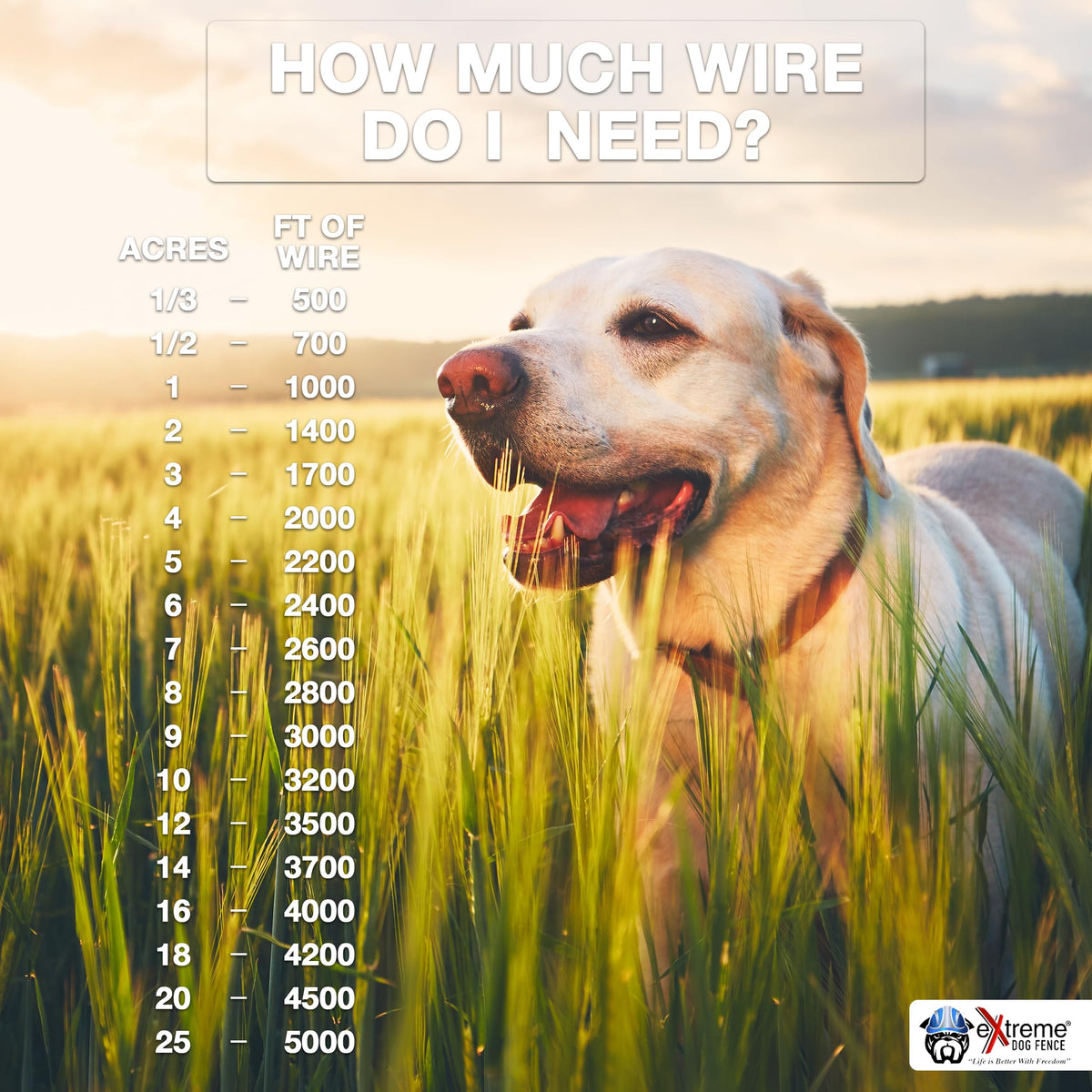 Underground Electric Dog Fence Kit, 2-Dog, 500 ft, DIY Install