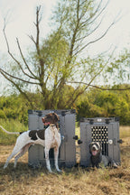 K9 Kennel Boss - Heavy Duty Fully Collapsible Powder-Coated Aluminum Dog Crate - Medium (Gray)