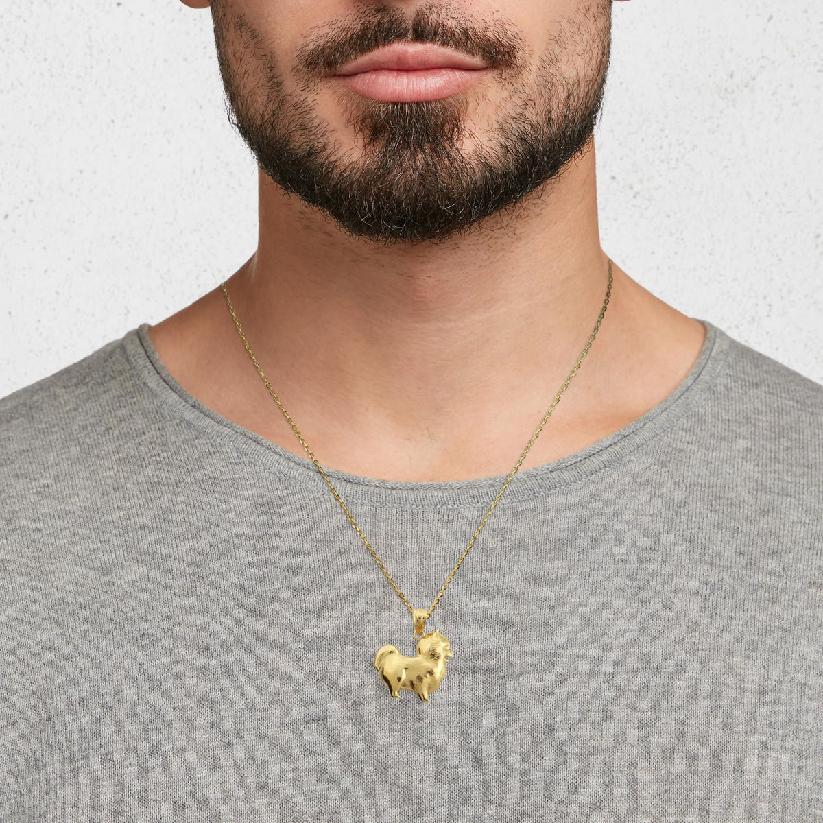 Pomeranian PomChi Chihuahua Pet Dog pendant With Chain 14K Gold
