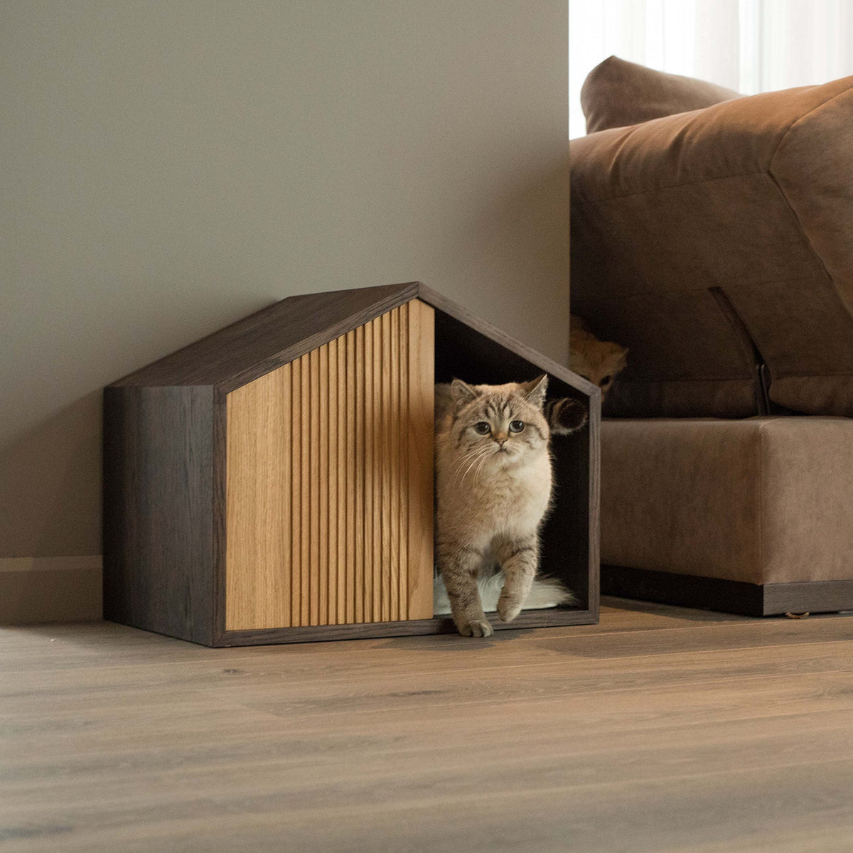 Effect Indoor Pet House for dogs and cats by Pettel
